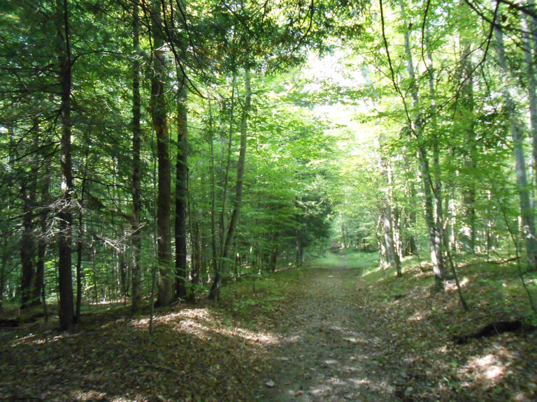 Sugar Hill - New York