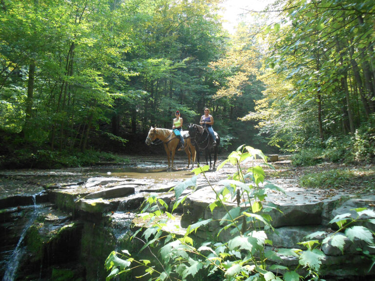Sugar Hill - New York