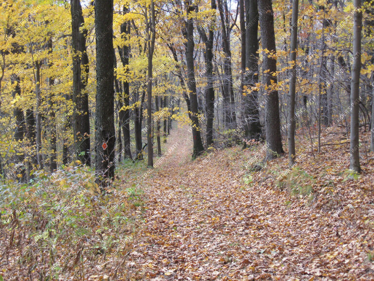 Blue Knob State Park Blue Knob State Park