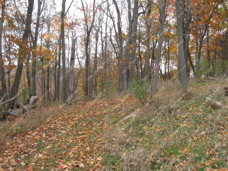 Canoe Creek State Park