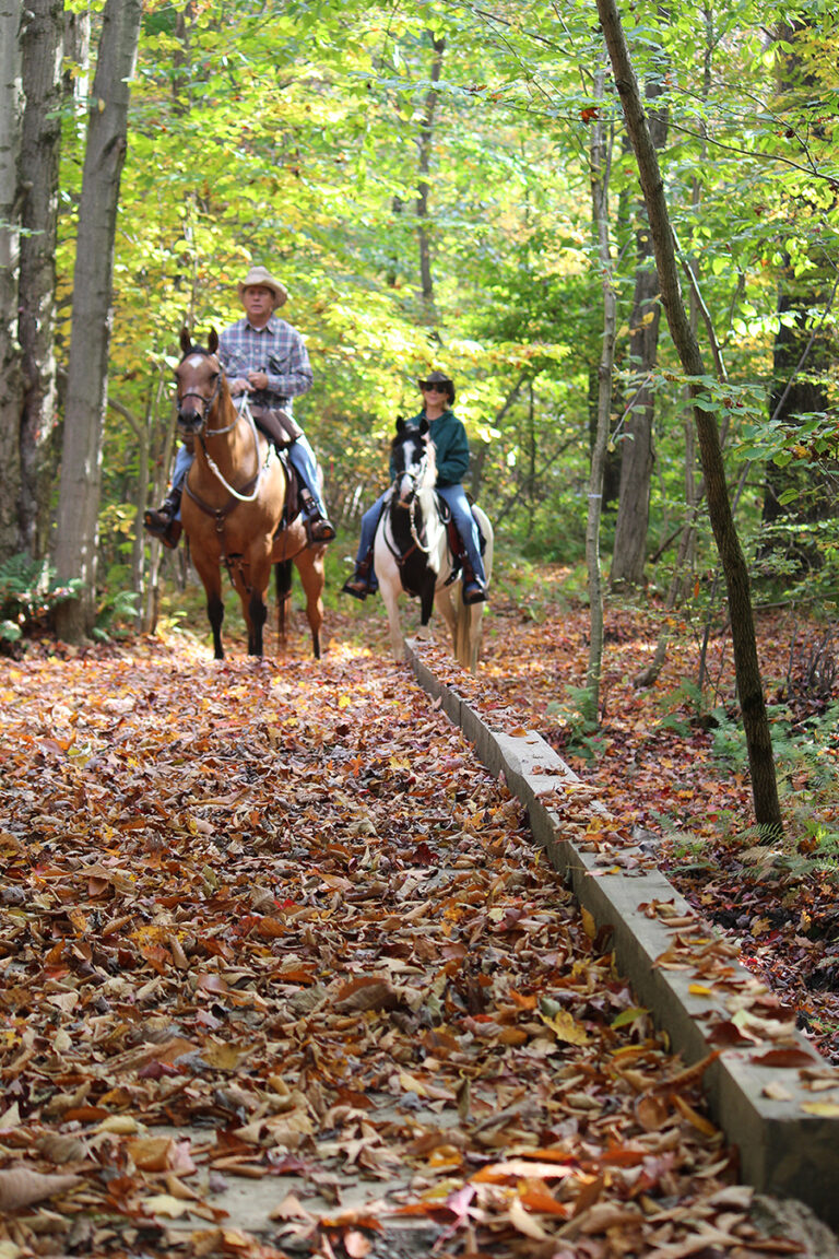 Chautauqua County Equestrian Trails Chautauqua County Equestrian Trails