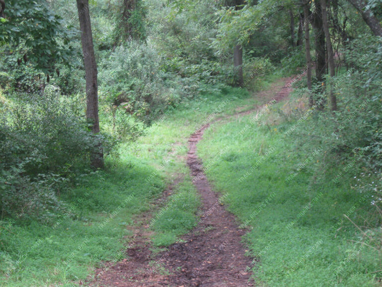 Evansburg State Park Evansburg State Park