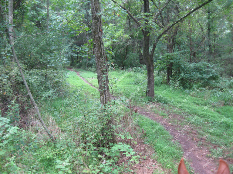 Evansburg State Park Evansburg State Park