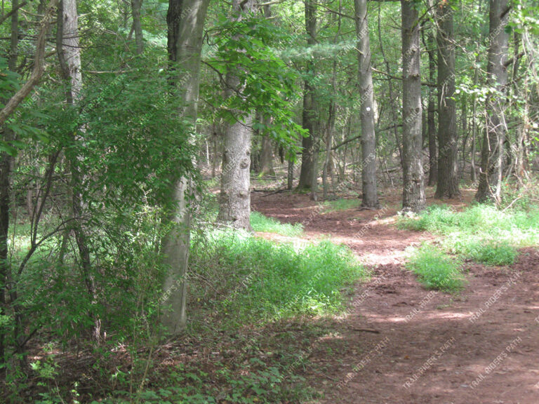Evansburg State Park Evansburg State Park