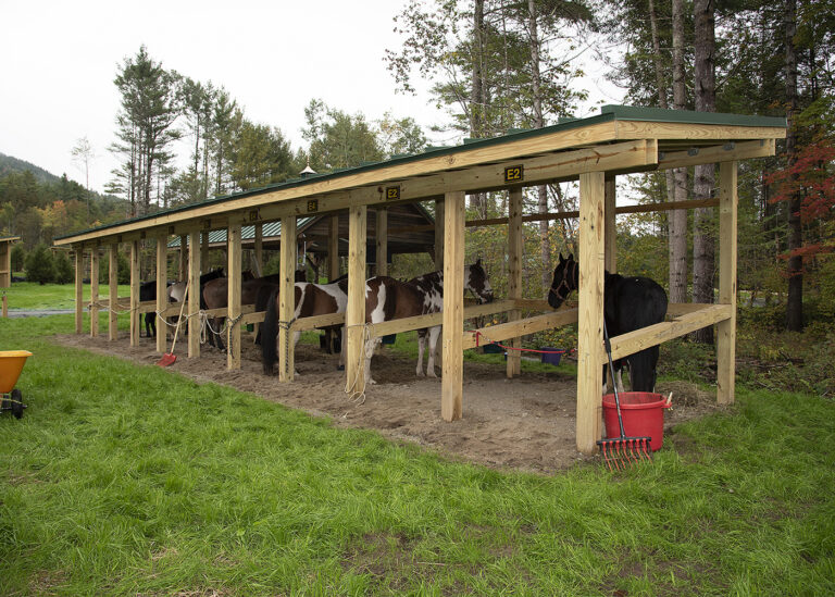 Frontier Town Horse Campground