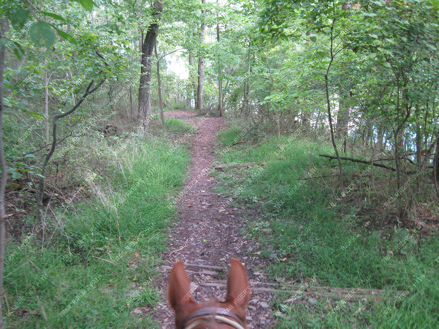 Green Lane Park Trail Rider's Path