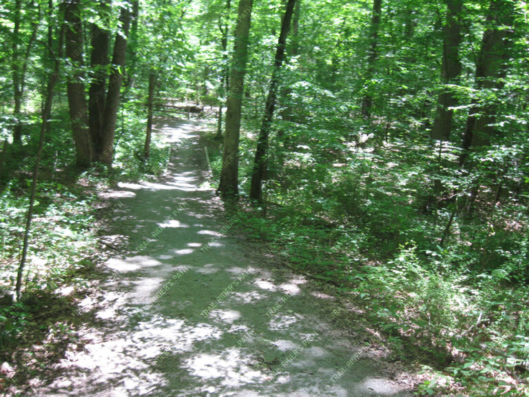 Jacobsburg Environmental Education Center