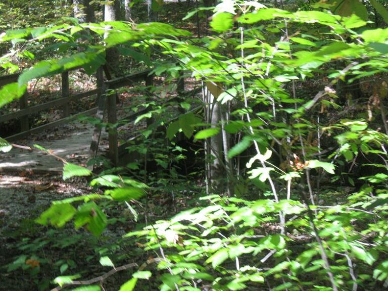 James River State Park