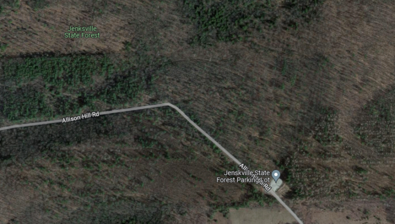 Jenksville State Forest