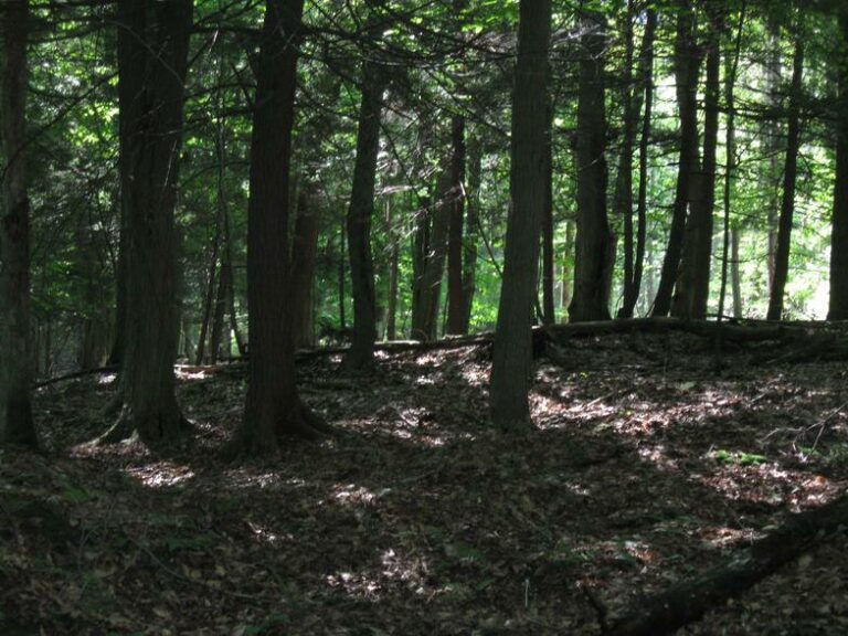 Letchworth State Park