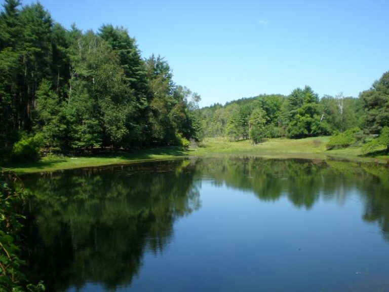 Letchworth State Park