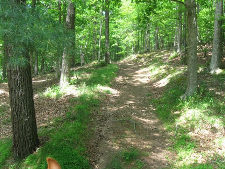 Lost River State Park