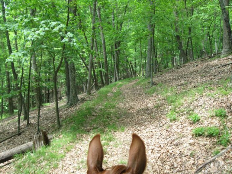Lost River State Park