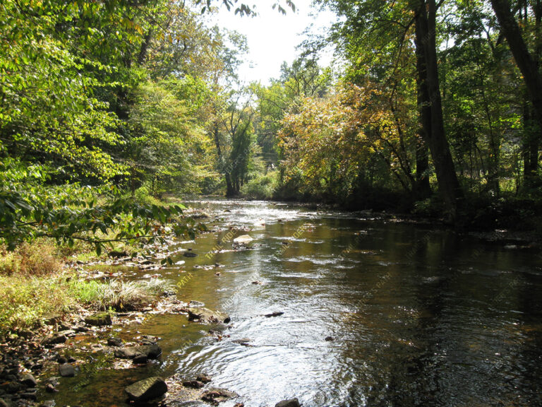 Marsh Creek State Park