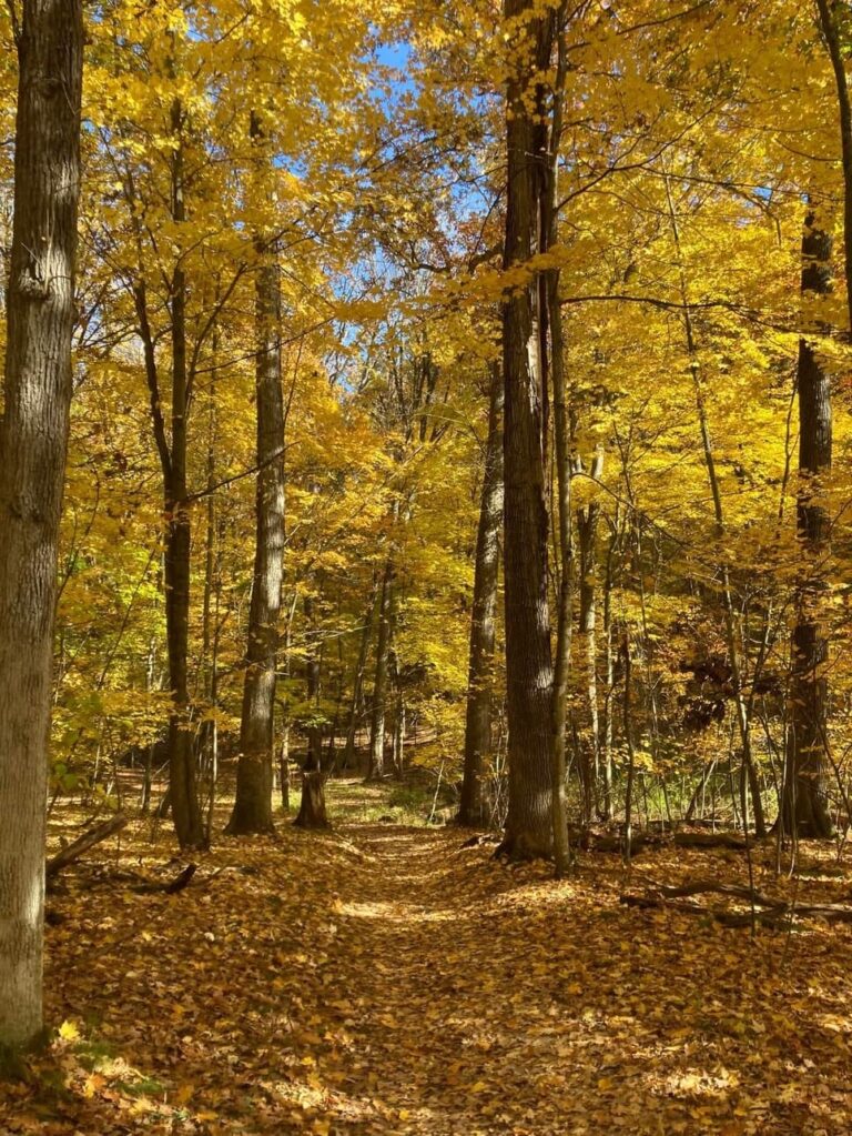 Mendon Ponds Park Mendon Ponds Park