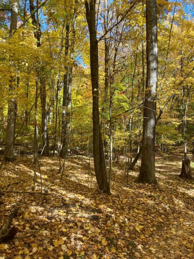 Mendon Ponds Park Mendon Ponds Park