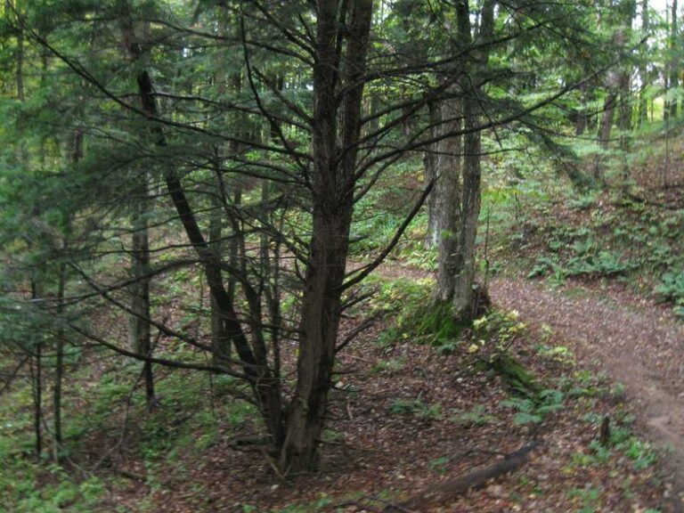 Otter Creek Horse Trails Otter Creek Horse Trails