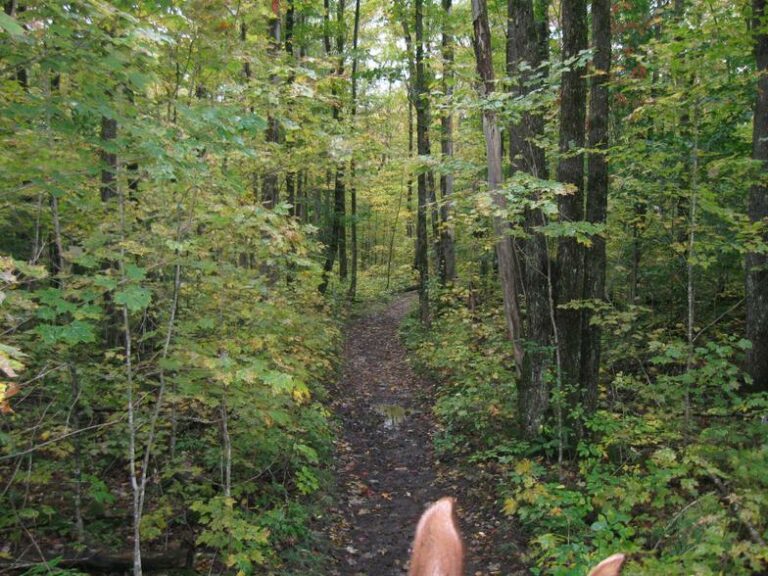 Otter Creek Horse Trails Otter Creek Horse Trails