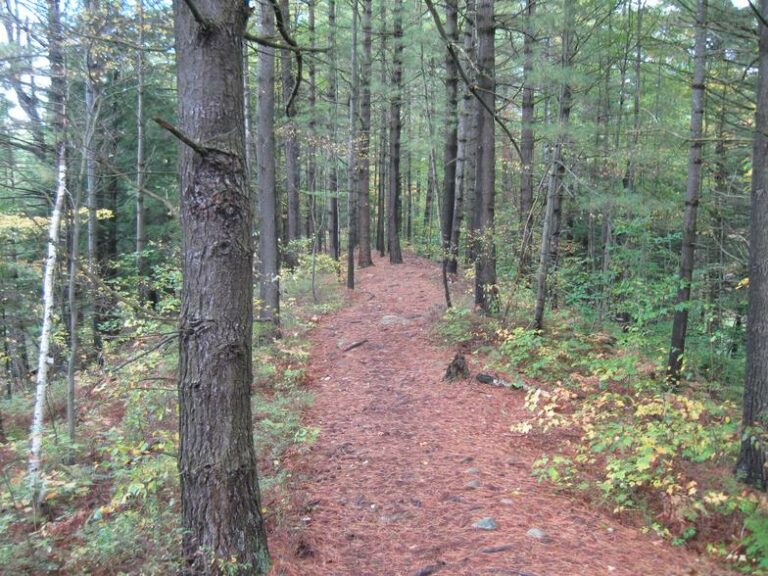Otter Creek Horse Trails Otter Creek Horse Trails