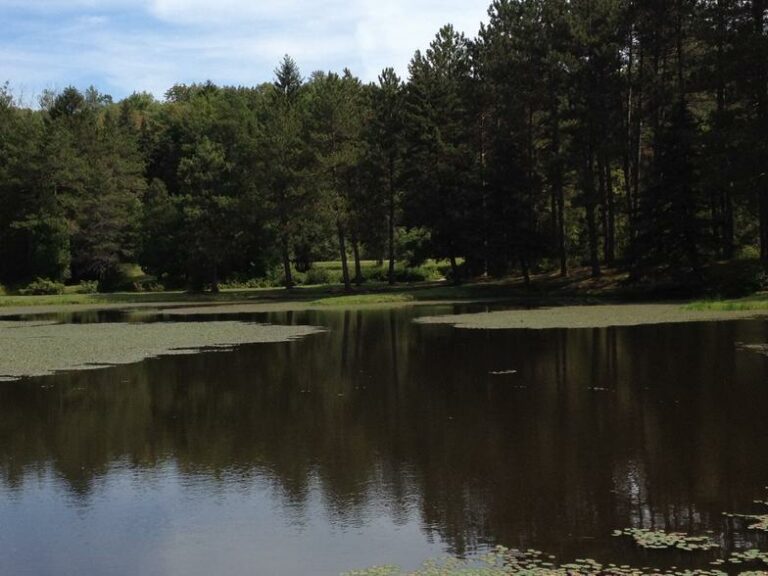 West Almond Trail System West Almond Trail System
