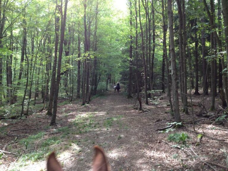 West Almond Trail System West Almond Trail System