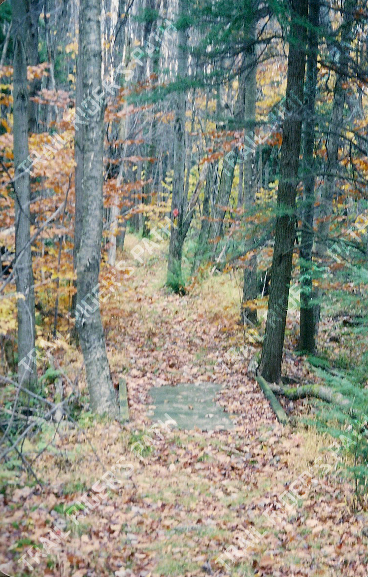 Discover Ricketts Glen State Park - Ricketts Glen1 Mark 