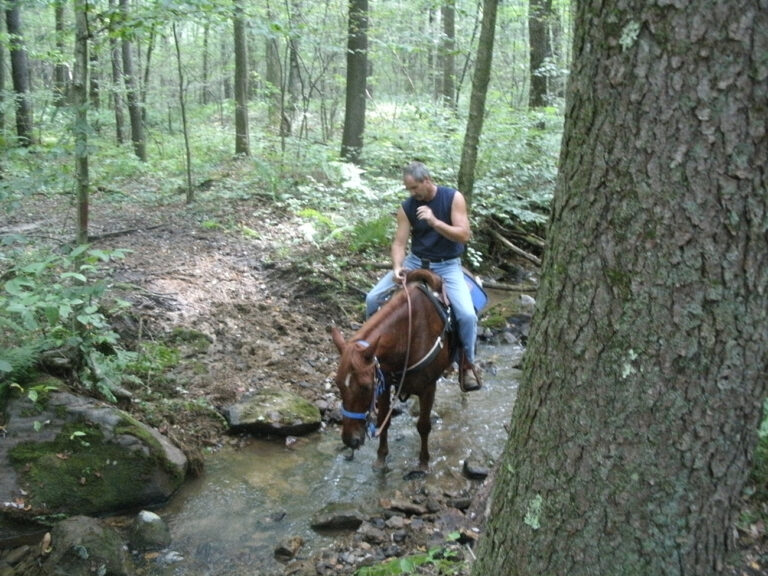 Two Mile Run County Park