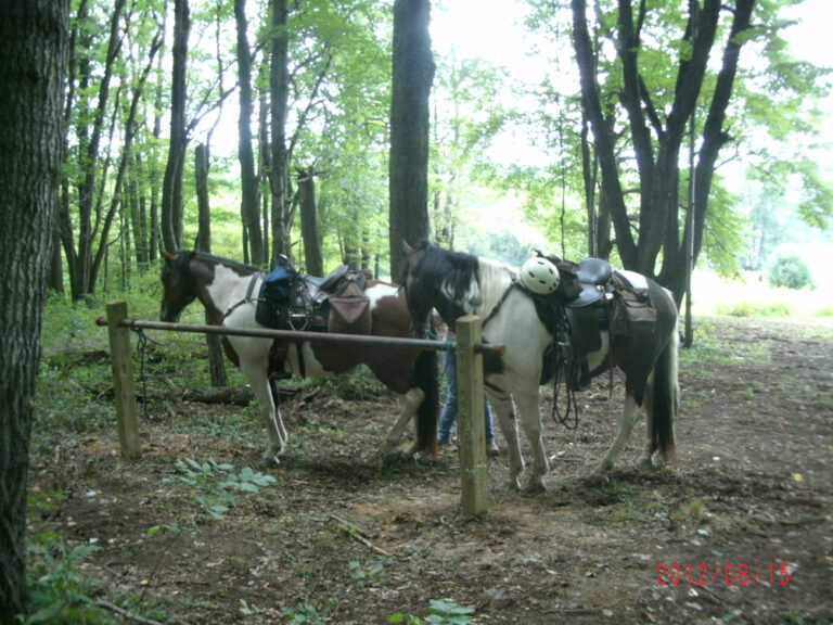 Two Mile Run County Park
