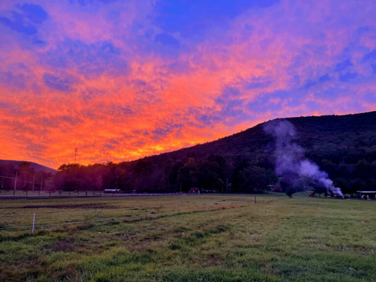 Horse Camping at OCWT