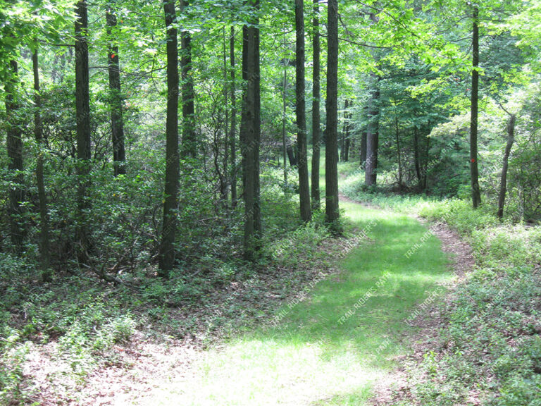 Weiser State Forest - Haldeman Tract