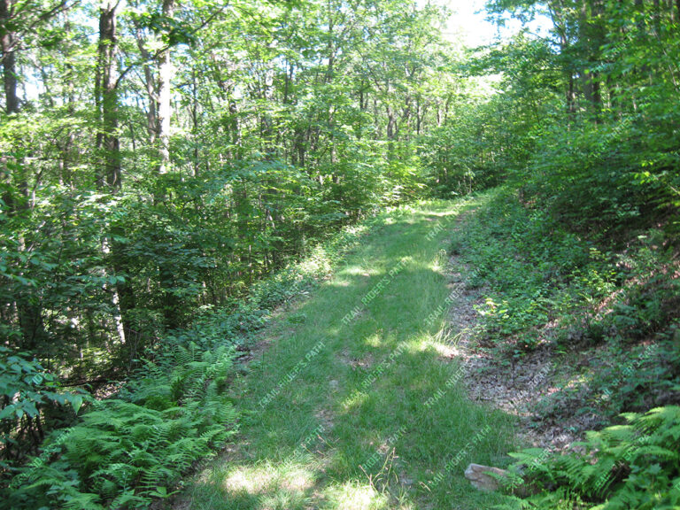 Weiser State Forest - Haldeman Tract
