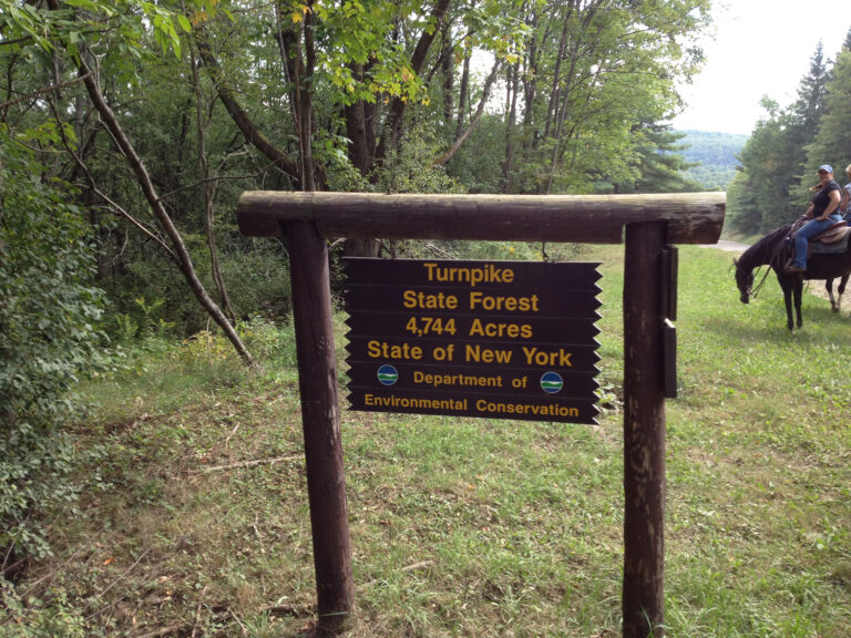 West Almond Trail System West Almond Trail System