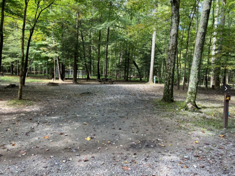 Holly River State Park Holly River State Park