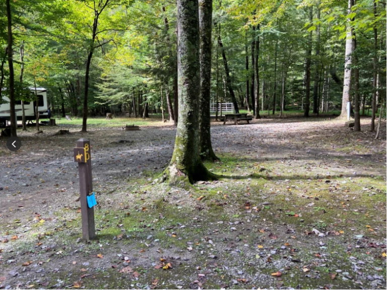 Holly River State Park Horse Trails Holly River State Park Horse Trails