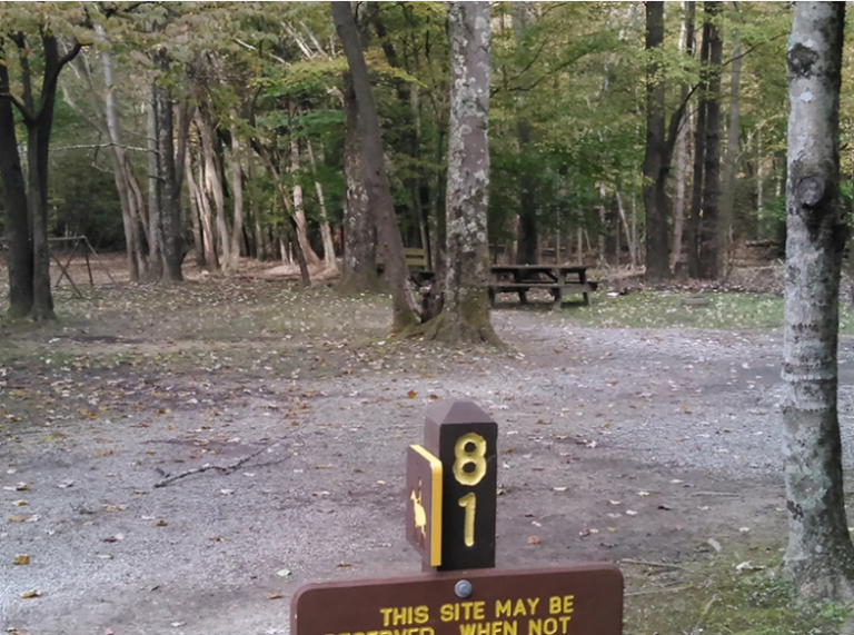 Holly River State Park Horse Camping Holly River State Park Horse Camping