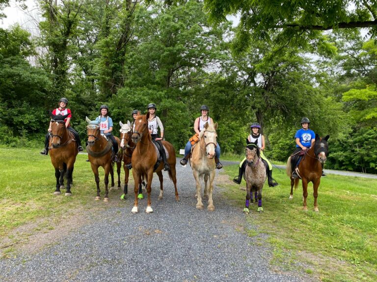 Last Chance Ranch - Horse Rescue Last Chance Ranch - Horse Rescue