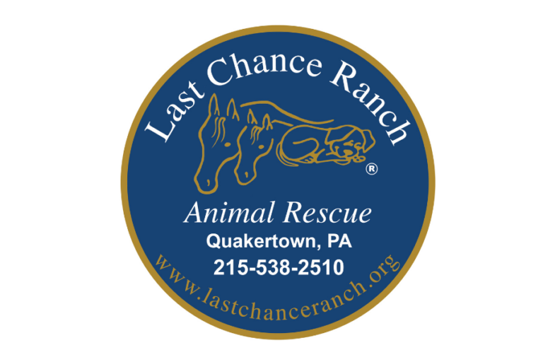 Last Chance Ranch - Horse Rescue