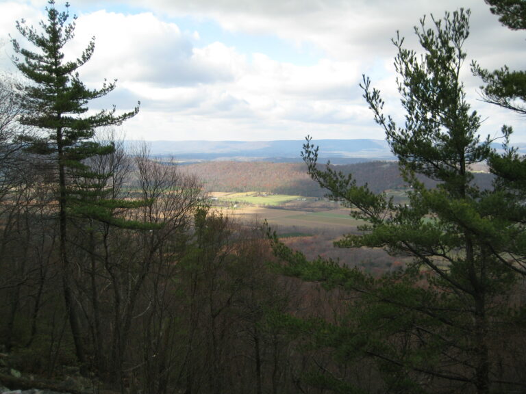 Buchanan State Forest - Knobsville Tract