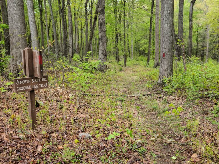 Tuscarora State Forest