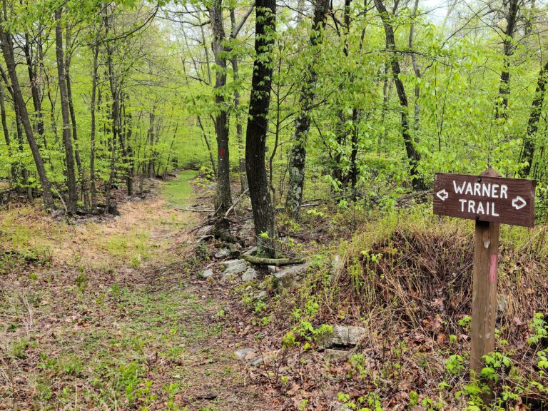 Tuscarora State Forest