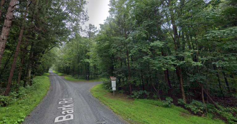 Buchanan State Forest