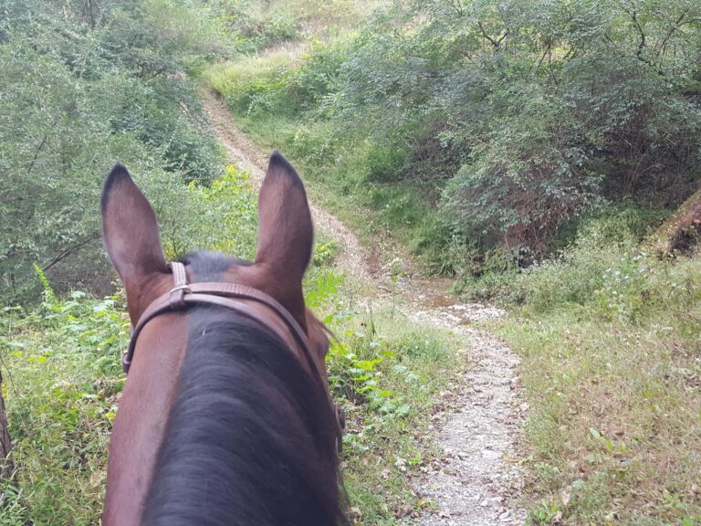 Trexler Nature Preserve Trexler Nature Preserve