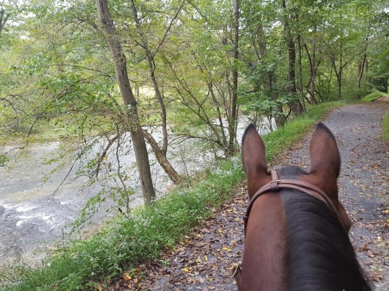 Trexler Nature Preserve Trexler Nature Preserve