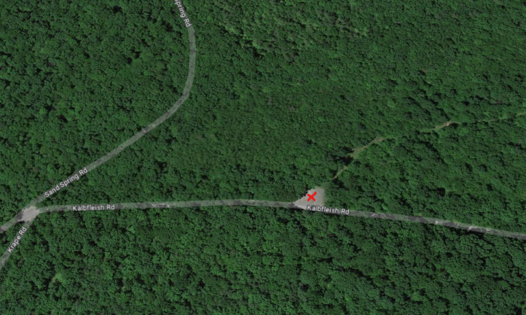 Tiadaghton State Forest