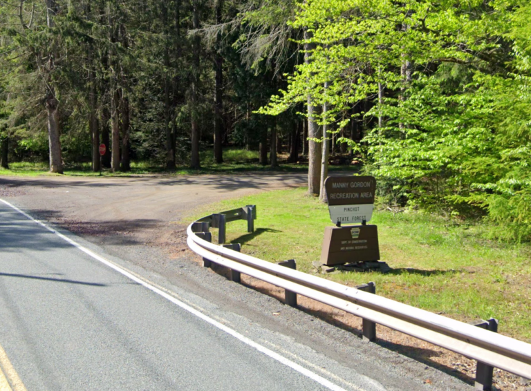 Pinchot State Forest Pinchot State Forest