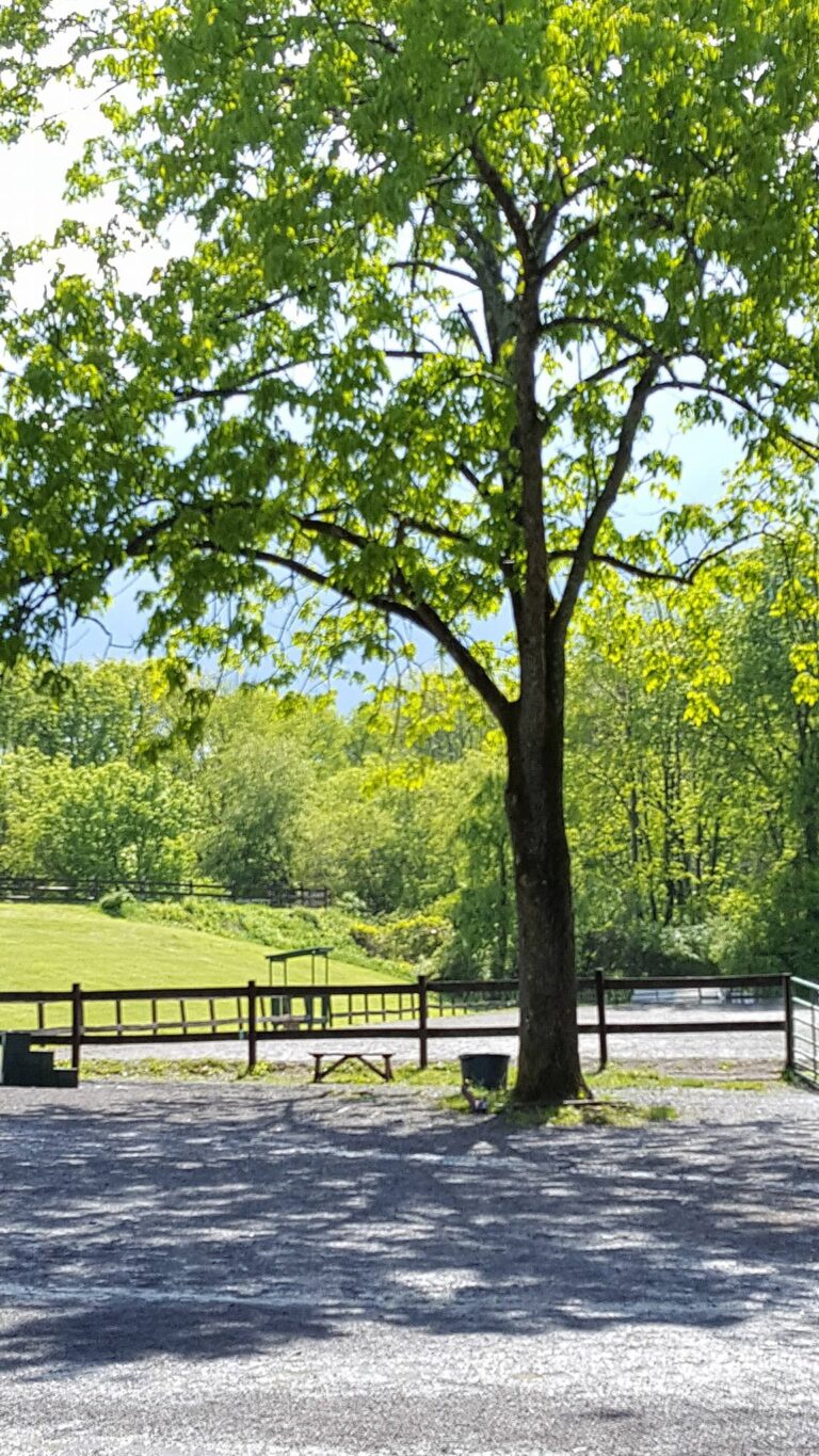 Bucks County Horse Park Bucks County Horse Park