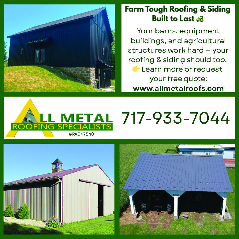 ALL Metal Roofing Specialists