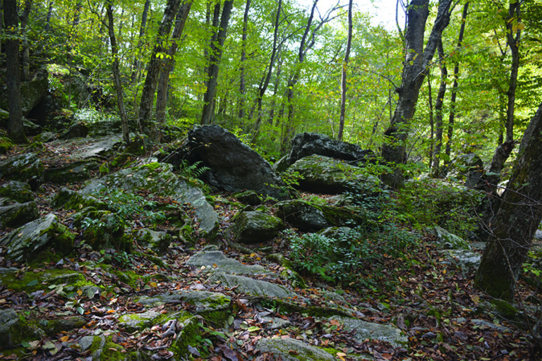Gunpowder Falls State Park Hereford Area