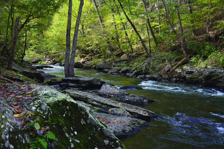 Stream at Gunpowder Falls State Park Hereford Area