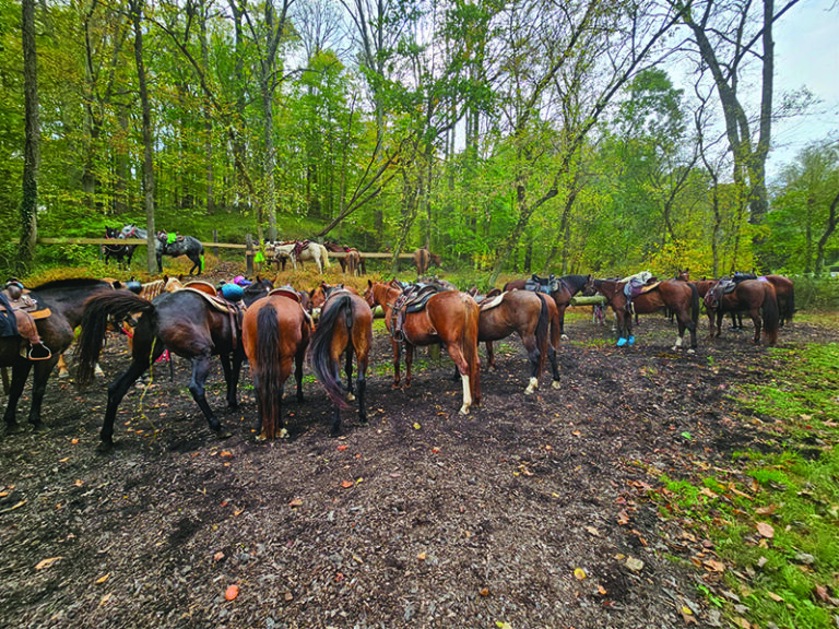 Hitching posts at Woodstock Inn 768x576